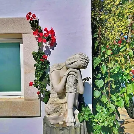Hibisco - Quinta Casalinho Da Azenha فندق مبيت وإفطار سينترا