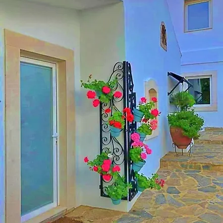 فندق مبيت وإفطار Hibisco - Quinta Casalinho Da Azenha *