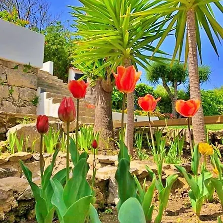 Hibisco - Quinta Casalinho Da Azenha فندق مبيت وإفطار